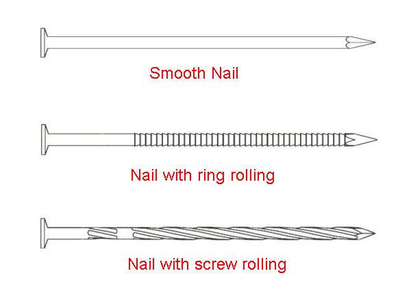 kuku koil dengan sekrup dan ring rolling