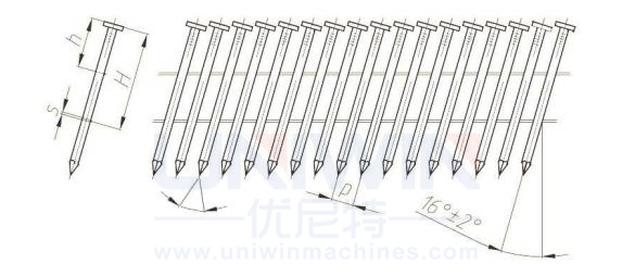 coil nails drawing