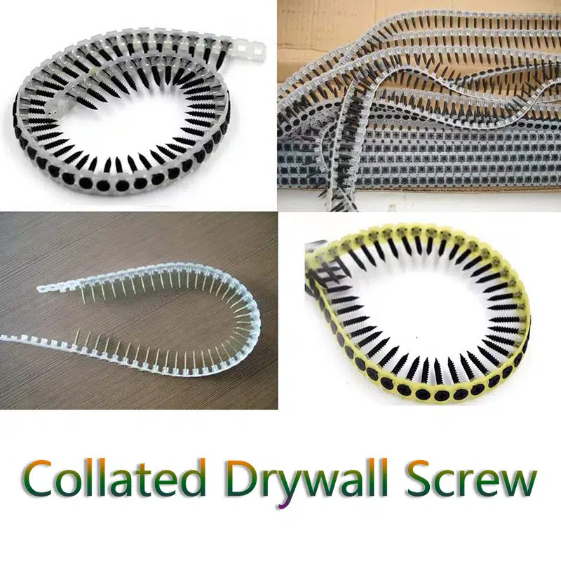 Collated-Drywall-Screw